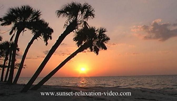 Sunset relaxation photograph of a sunset on a secluded palm treed beach